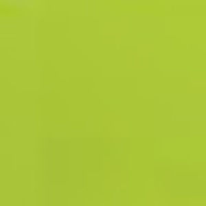 Meet your Posher, Butch